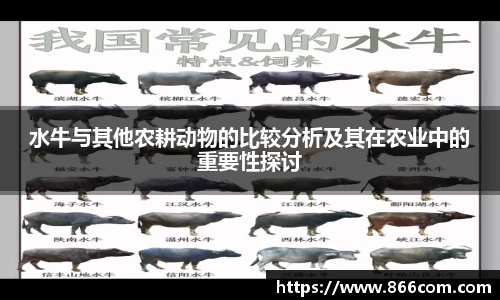 水牛与其他农耕动物的比较分析及其在农业中的重要性探讨